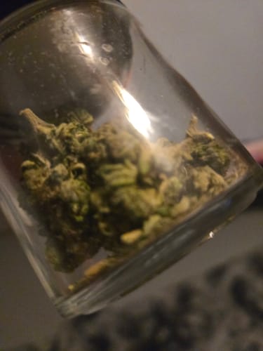 Customer photo review of Pineapple Express THCA Flower