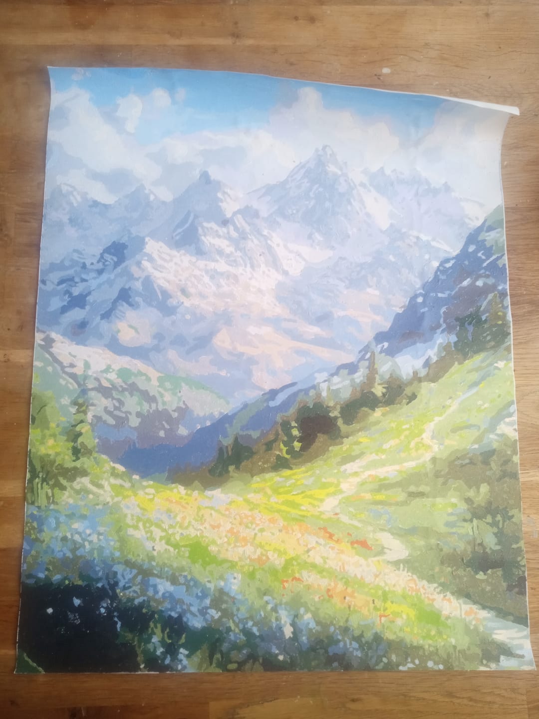 Customer photo review of Mountain Path