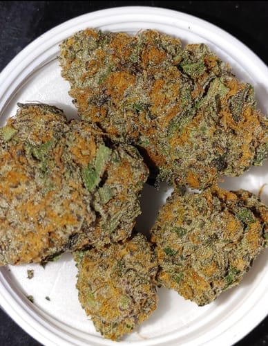 Customer photo review of Space Cake | THCA Flower