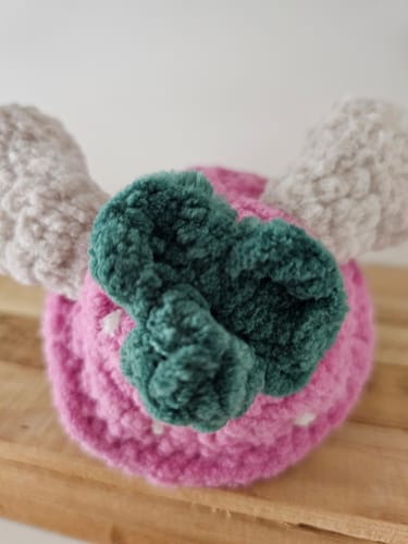 Customer photo review of Alize Velluto