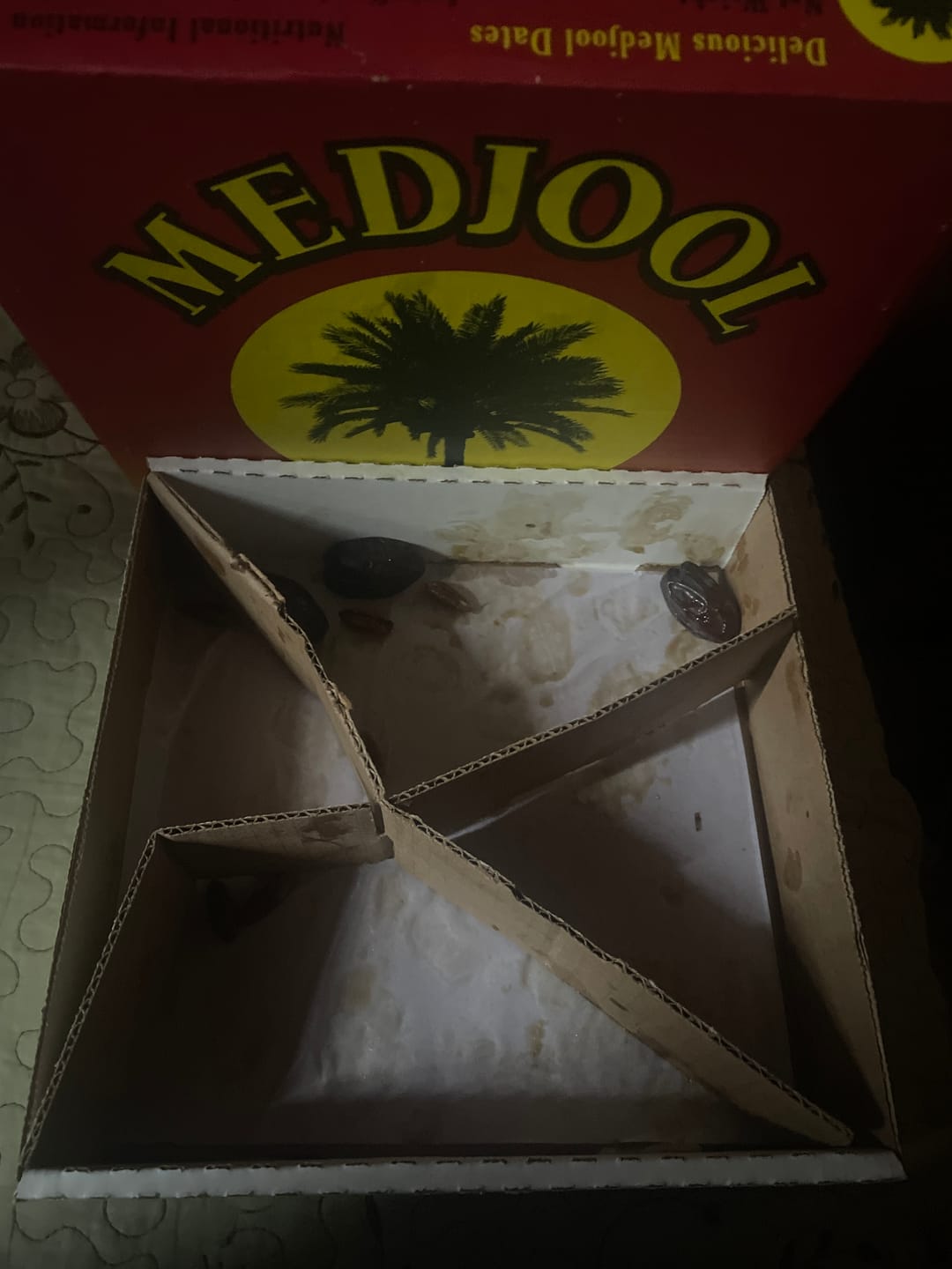 Customer photo review of Soft Rutab Medjool Dates