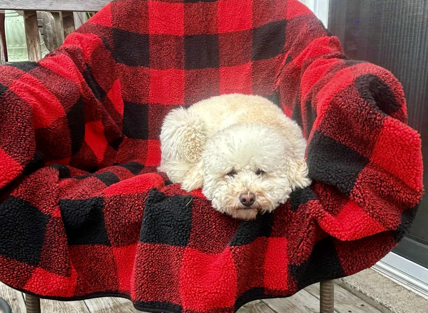 Customer photo review of The Chair Blanket