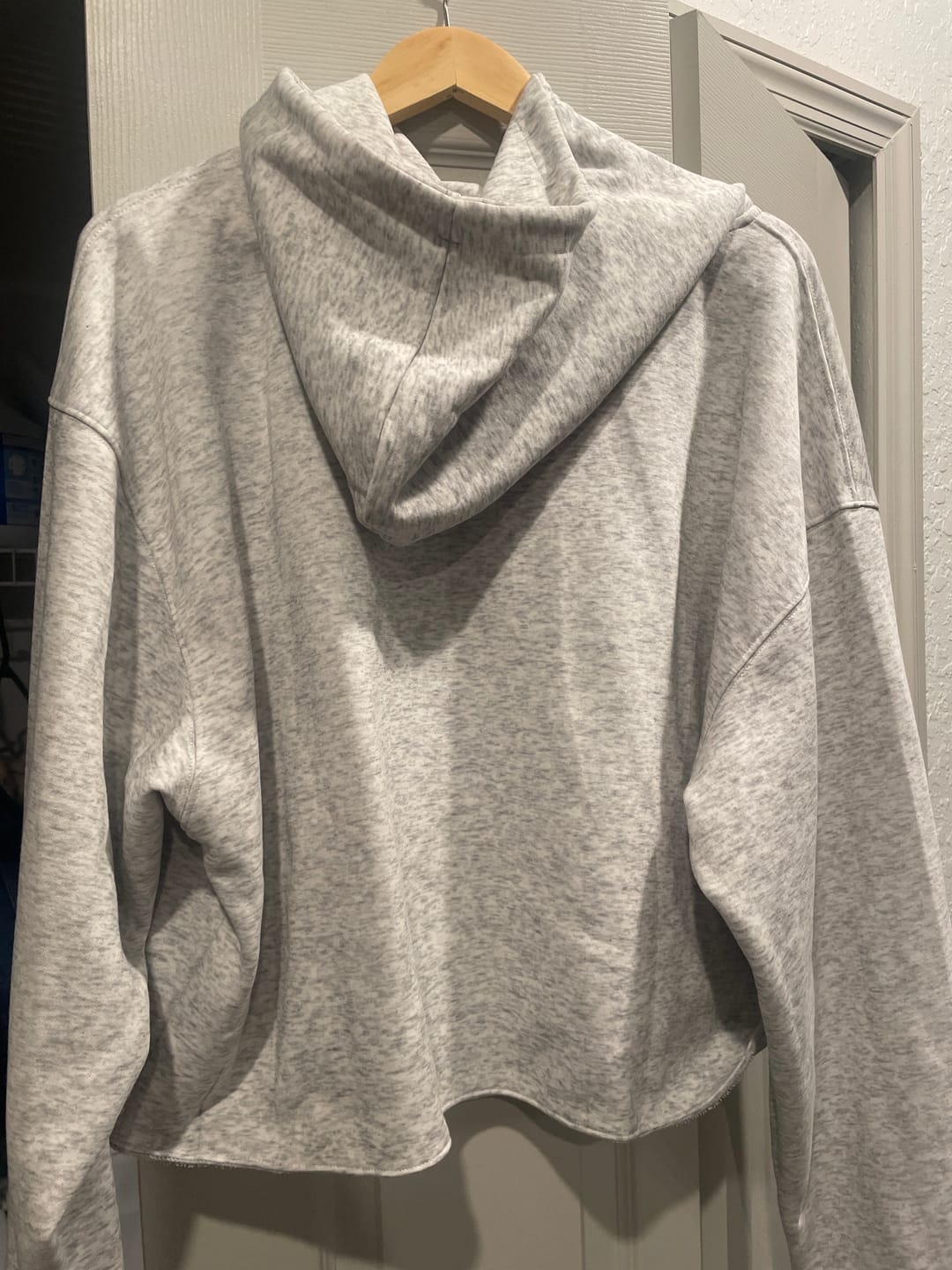 Customer photo review of Aelfric Eden Solid Pullover V302 Boxy Hoodie