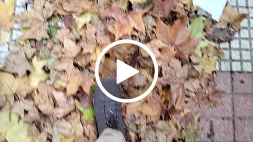 Customer video review of Ash - Zapatos Barefoot De Invierno