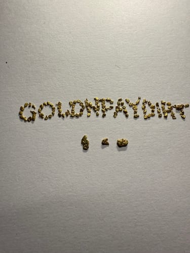 Customer photo review of *TROGO* Flawless '$5,000 GOLD NUGGET DISCOVERY' - Gold Panning Paydirt