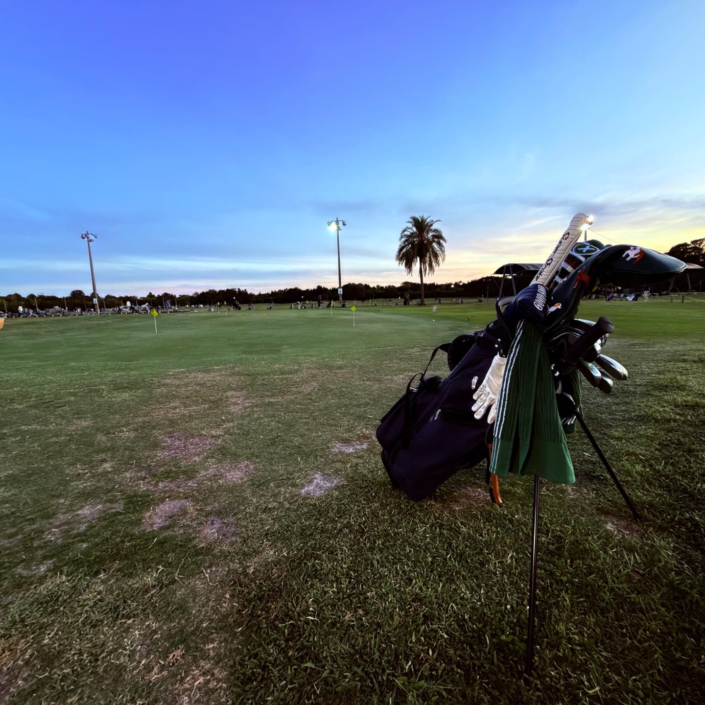 Customer photo review of Xtreme Lux Stand Bag