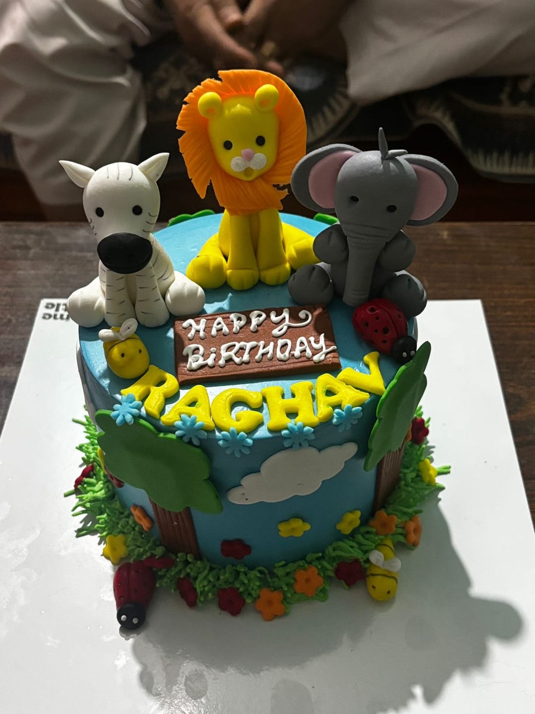 Customer photo review of Jungle Theme Cake for Kids