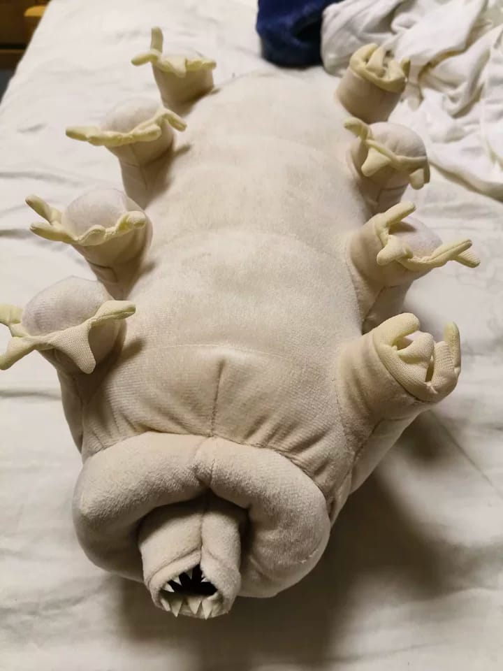 Customer photo review of Tardigrade Plush Toy – Lifelike and Soft Water Bear Stuffed Animal for Science Enthusiasts