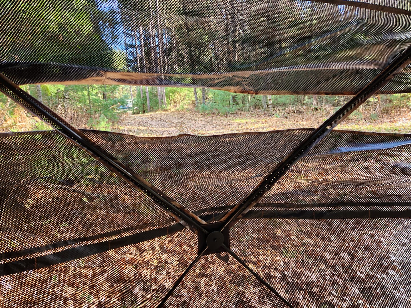Customer photo review of Vis Series See Through Hunting Blind, Pop Up Ground Deer Blind
