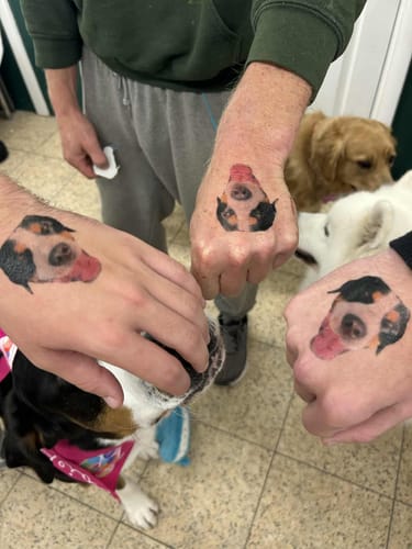 Customer photo review of Personalized Dog Party Pack