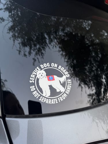 Customer photo review of Get UV DTF Transfers by Size