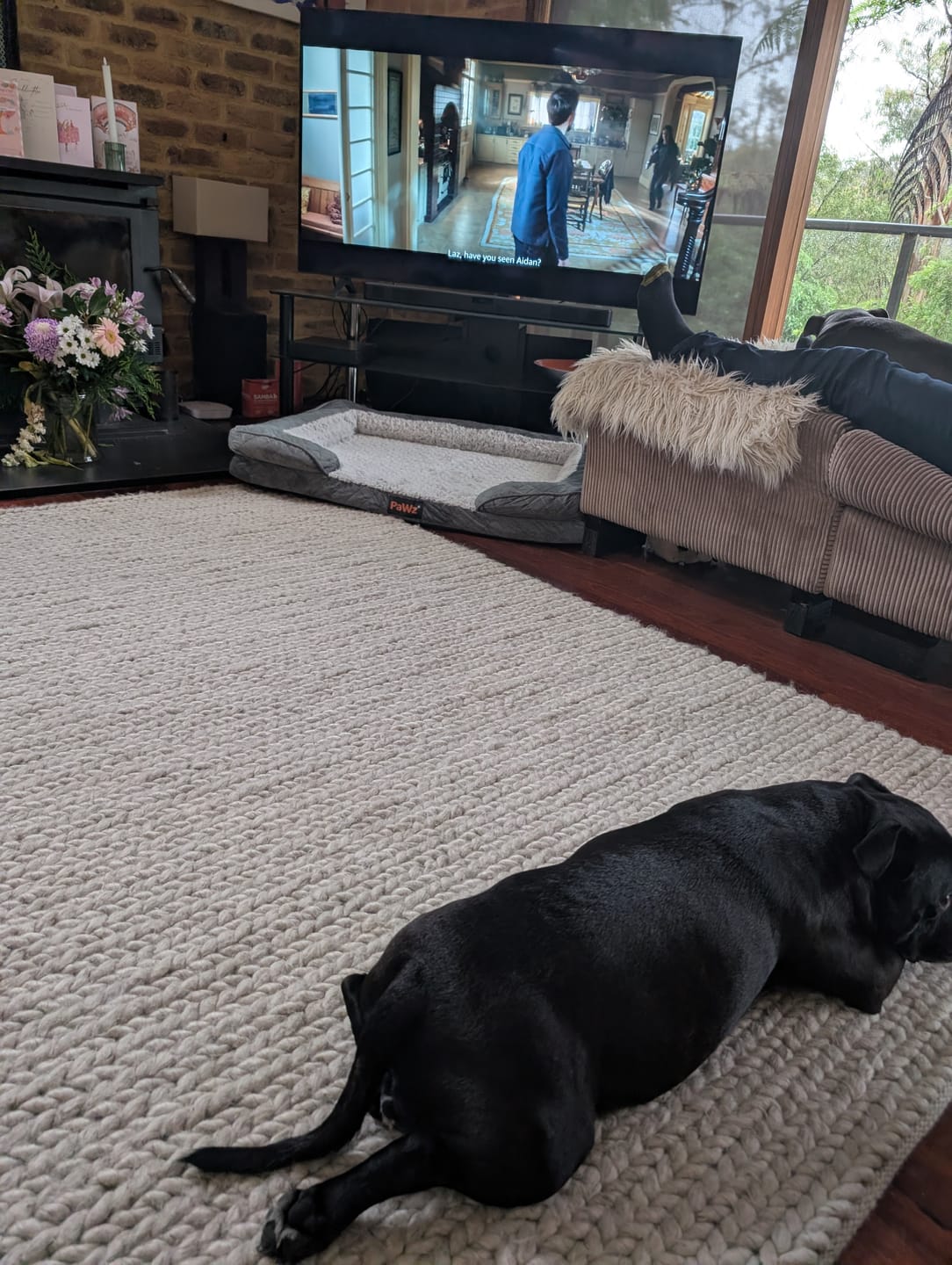 Customer photo review of Orthopedic Memory Foam Dog Bed