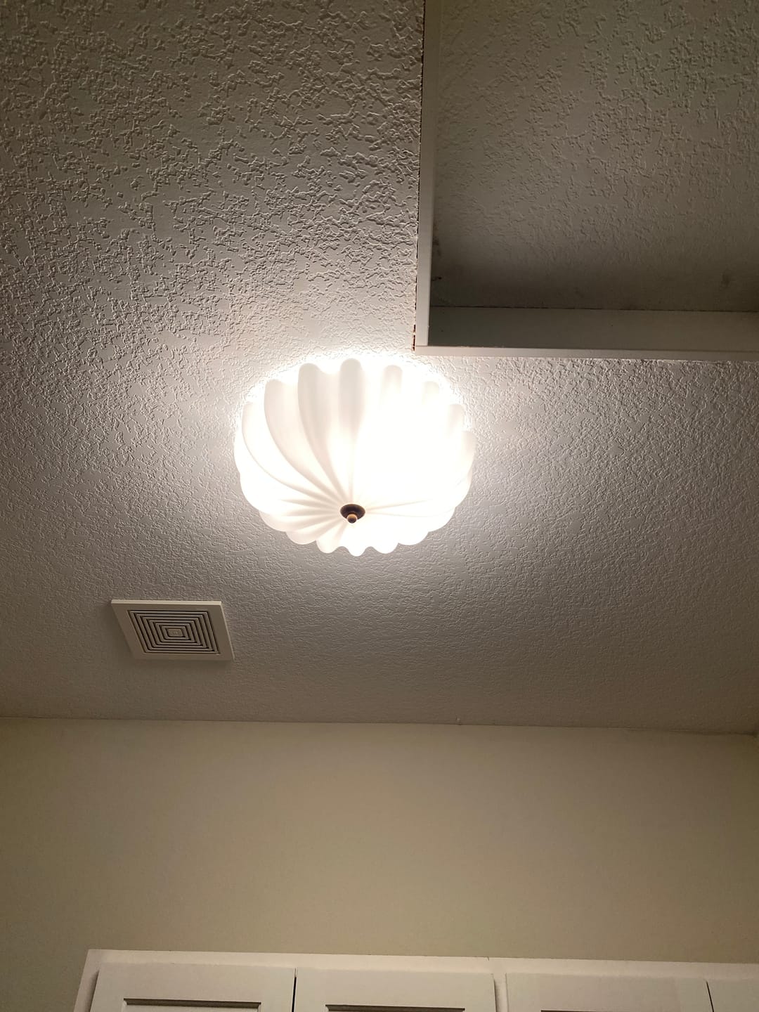 Customer photo review of Modern 3-Light Milky White Daisy Glass Semi-Flush Mount