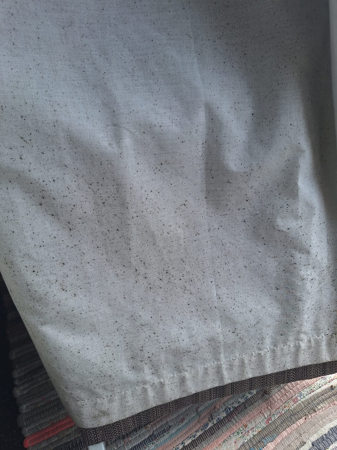 Customer photo review of Curtain Wizard Instant Mould & Mildew Remover