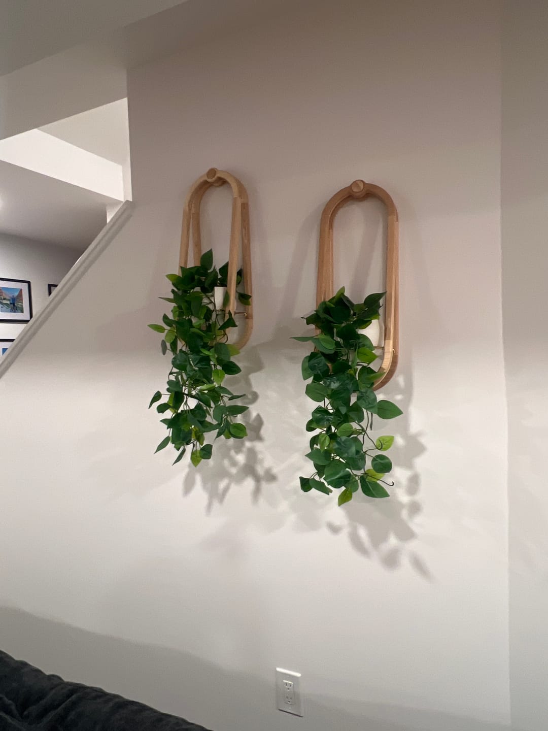 Customer photo review of Frame Wall Planter + Pot Duo