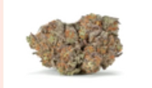 Customer photo review of Berry Cake - Hybrid