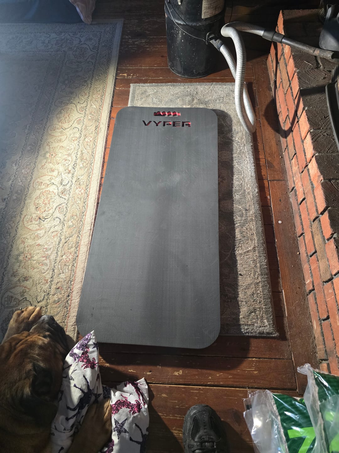 Customer photo review of FOAM CREEPER