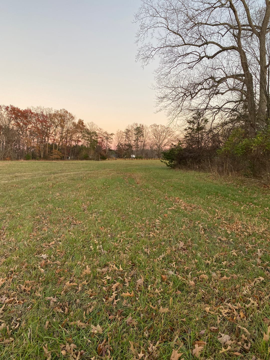 Customer photo review of Vis Series See Through Hunting Blind, Pop Up Ground Deer Blind