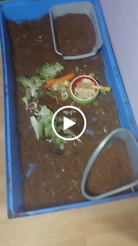 Customer video review of Kleintiereinstreu