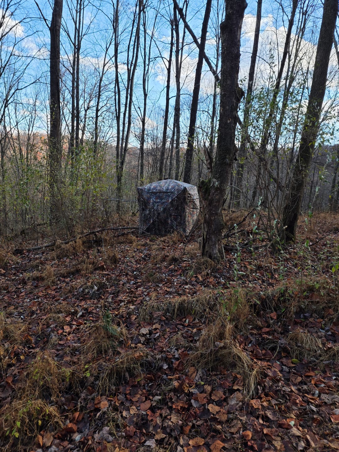Customer photo review of VisST See Through Camouflage Hunting Blinds | 270° Portable  2-3 Person Pop Up Deer Hunting Ground blind with Silent Magnetic Door