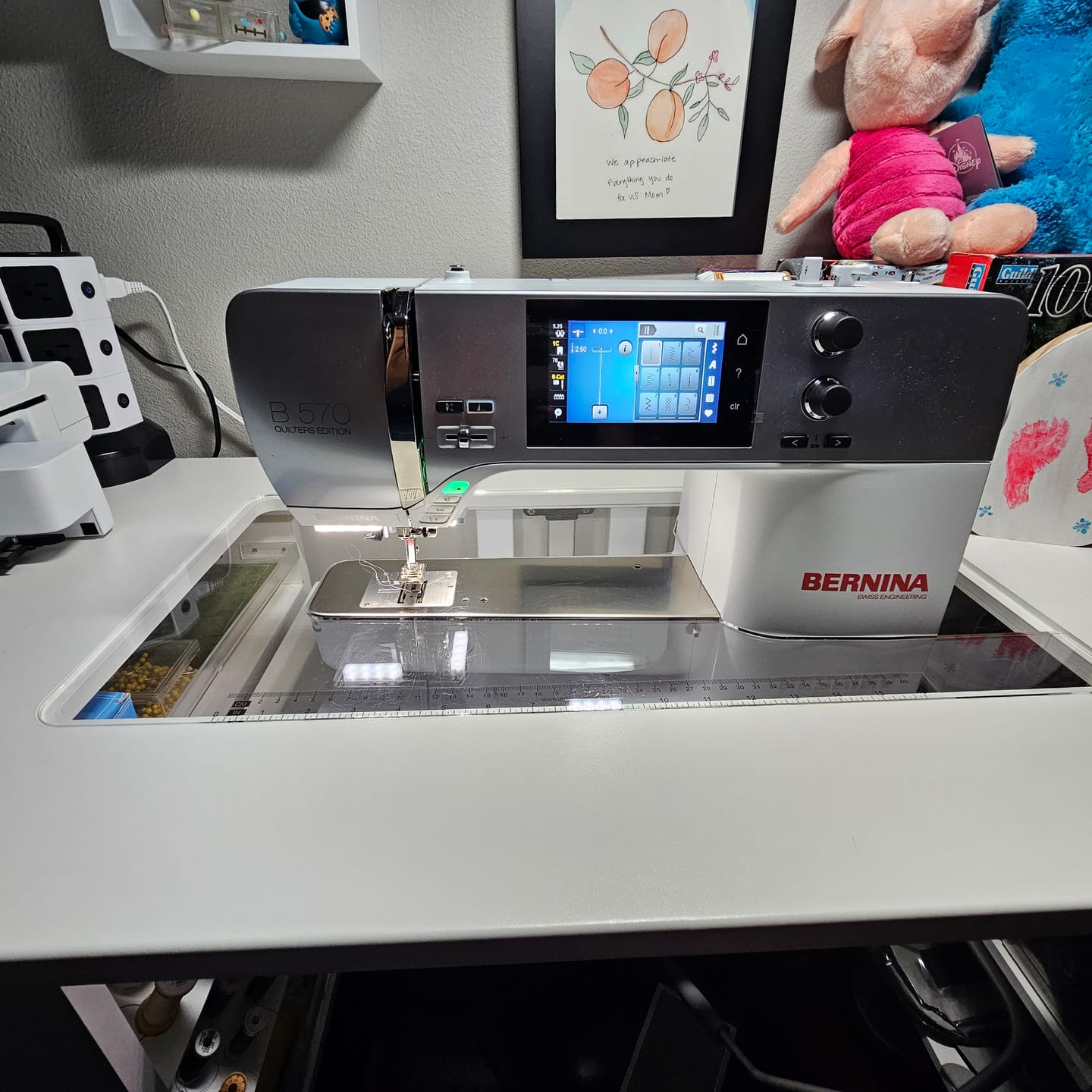 Customer photo review of Sew Steady Insert