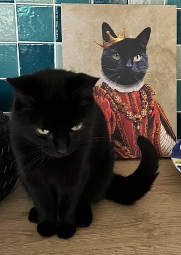 Customer photo review of The Ruby Queen: Custom Pet Canvas