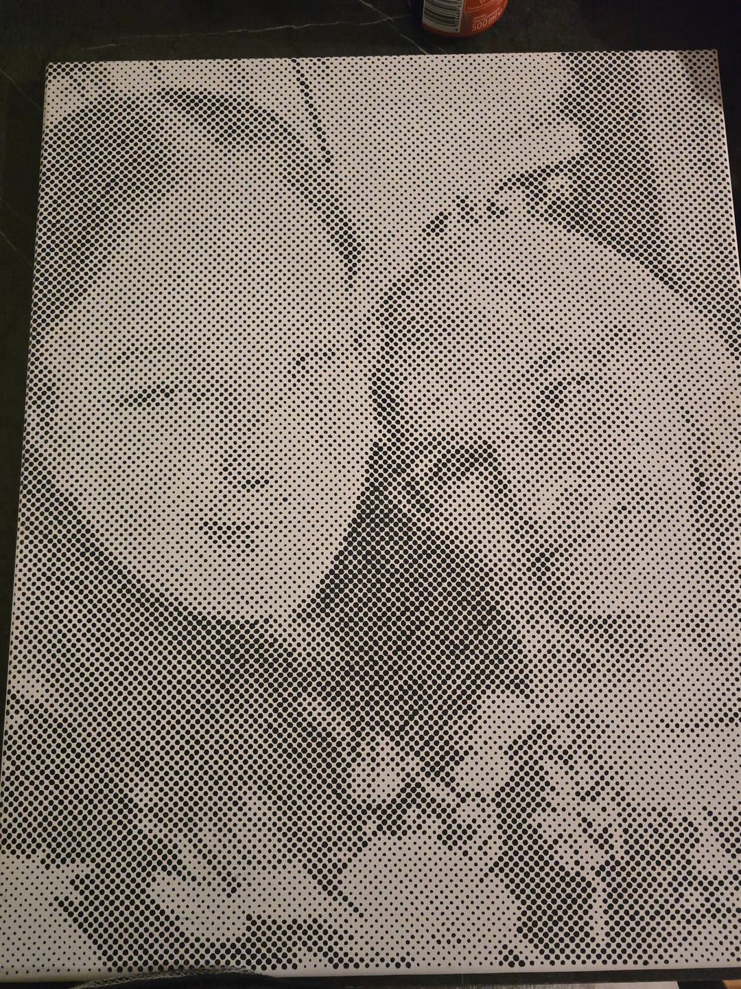 Customer photo review of Custom Photo Dot Painting Kit