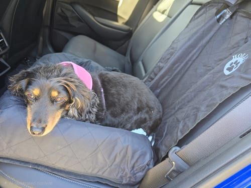 Customer photo review of Car Seat Cover