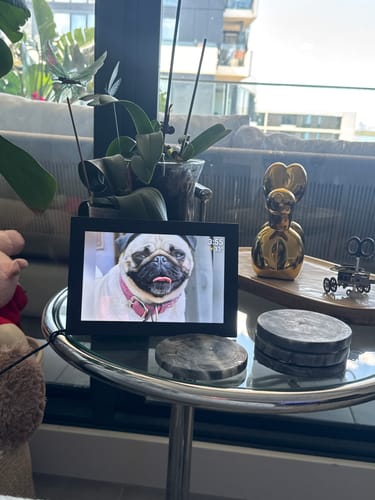 Customer photo review of Digital Photo Frame