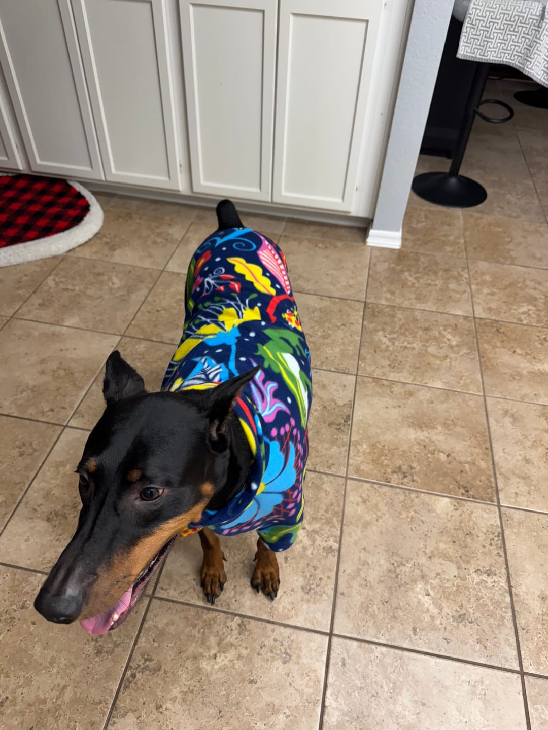 Customer photo review of Small Bully Stick Ring