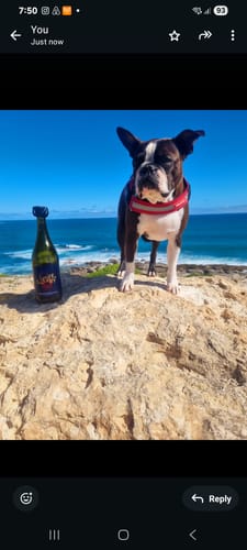 Customer photo review of Mixed Sparkling Wine Case