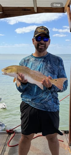 Customer photo review of Waterloo Tide Series