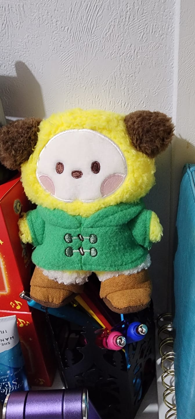 Customer photo review of BT21 - BOOTS EDITION MININI DOLL