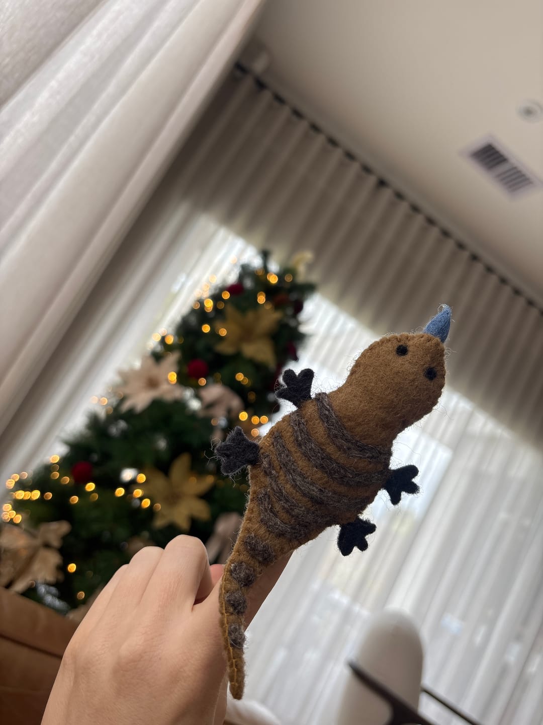 Customer photo review of Felt Finger Puppets — Individual Characters (Pick & Choose)
