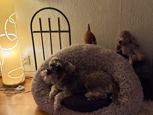 Customer photo review of CalmBed - Motverkar stress & hjälper mot ångest