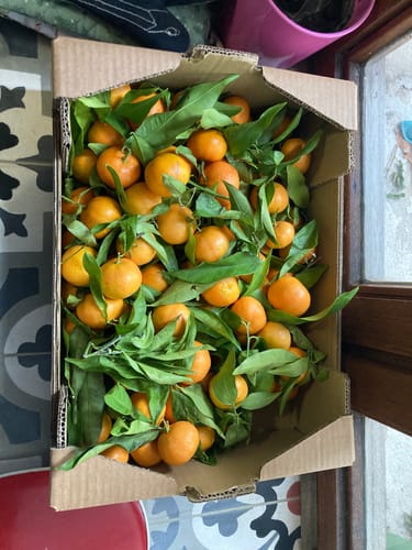 Emma V. review of Clémentines Bio - Origine Corse image 1 out of 1