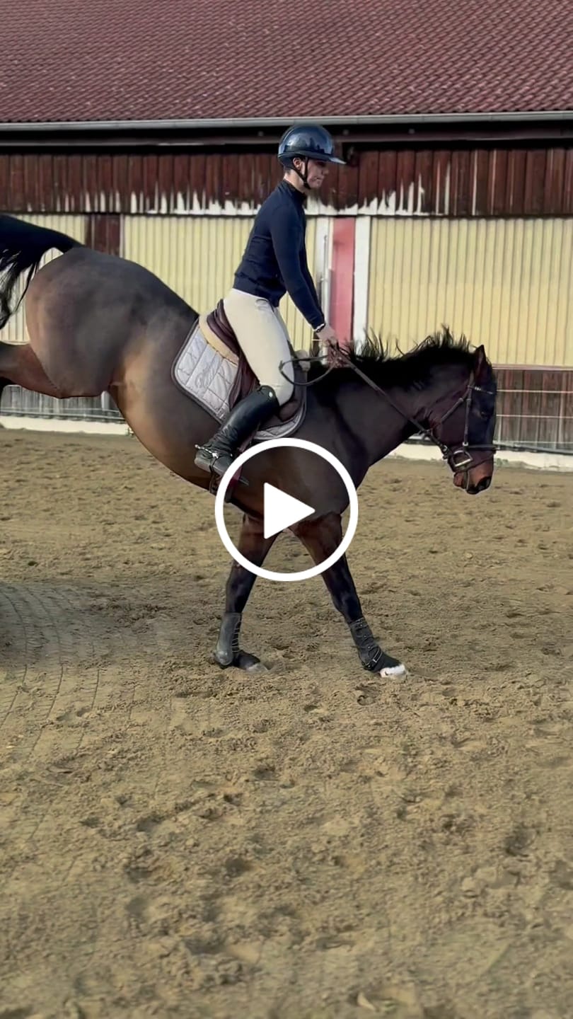 Customer video review of Bella Reithose Knie-Grip