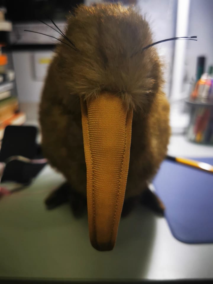 Customer photo review of Realistic Kiwi Bird Plush Toy – Soft and Adorable Stuffed Animal