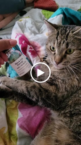 Customer video review of Black Cat Energy Bath & Body Oil
