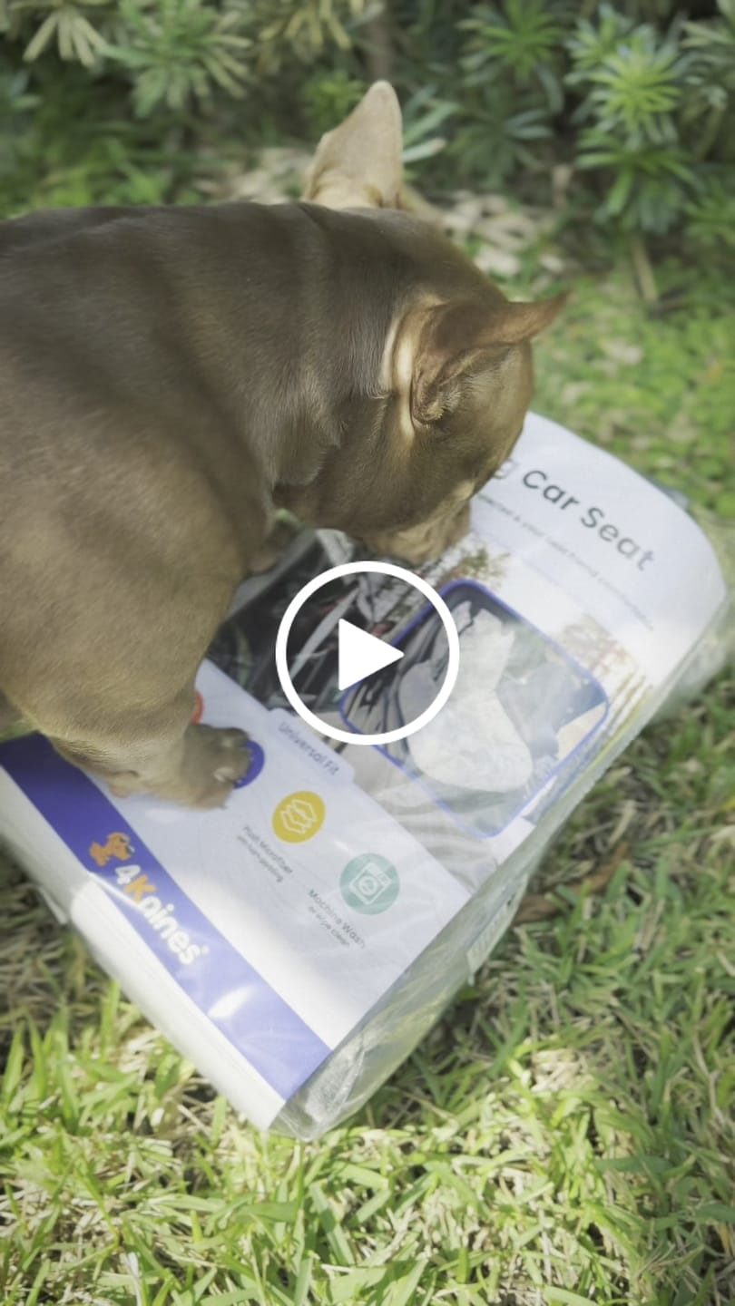 Customer video review of Dog Car Seat – Plush Travel Dog Bed for Small and Medium Dogs