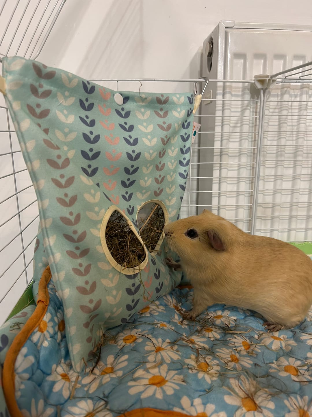 Customer photo review of Hay Bag | Nordic Nature