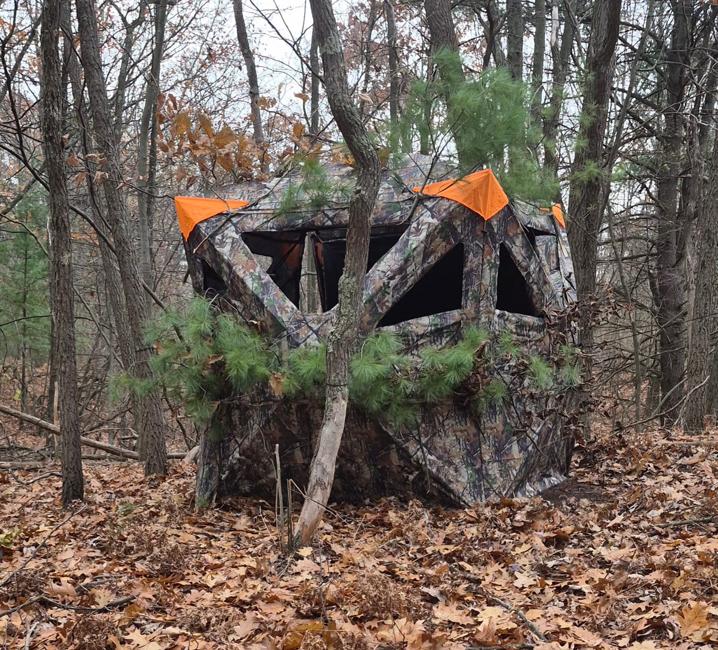 Customer photo review of Tidewe Vis360 See-Through Ground Blind for Deer/ Turkey Hunting (3-4 Person)