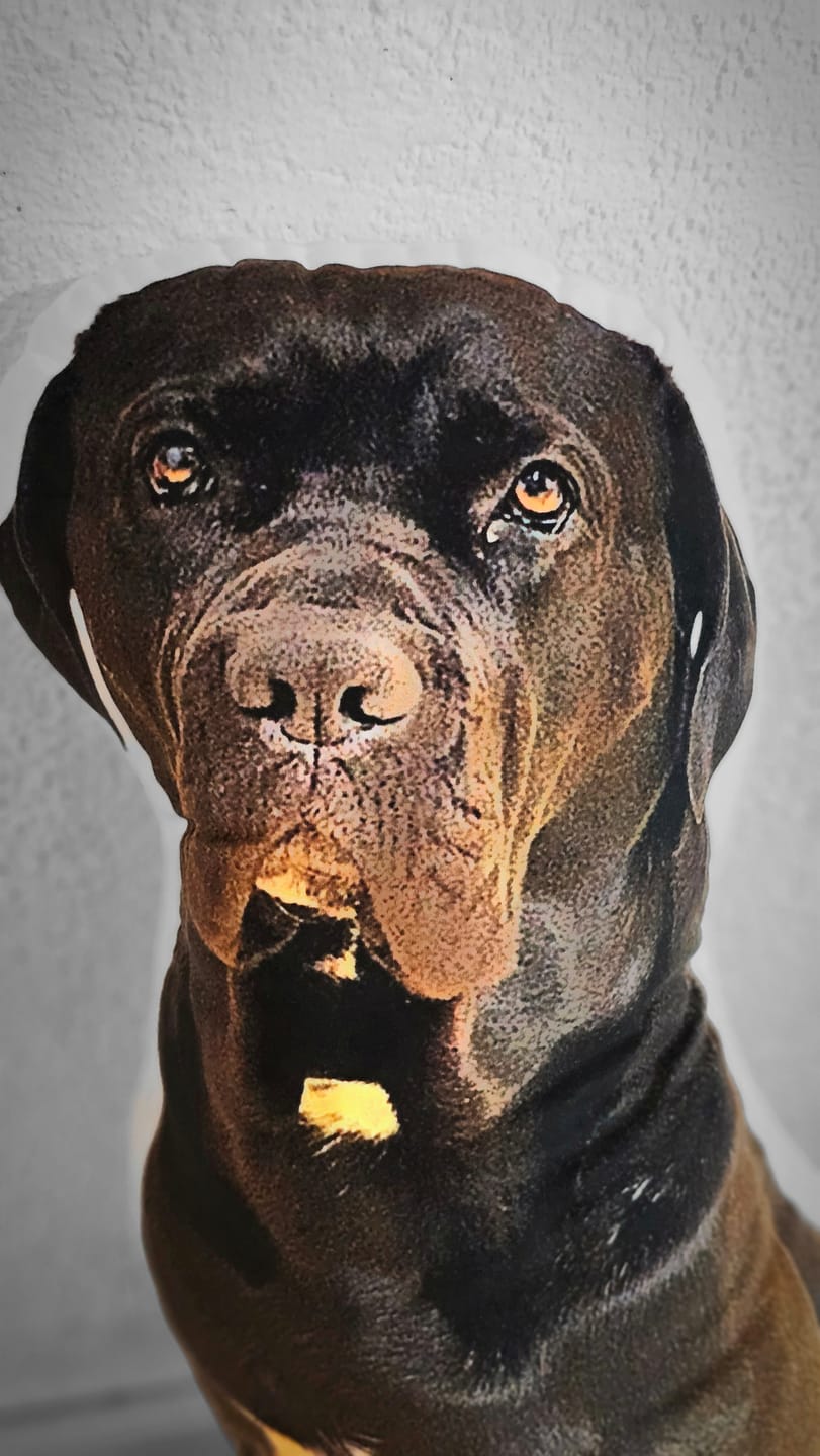 Customer photo review of Personalisiertes Hundekissen