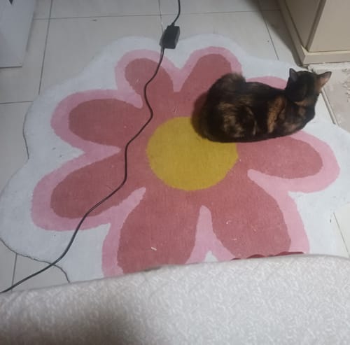 Customer photo review of Ronan- Hand Tufted Rug
