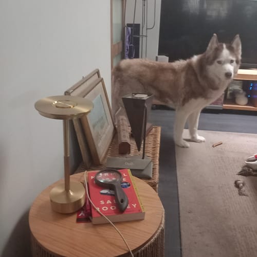 Customer photo review of Ambiancelight - Draadloze oplaadbare tafellamp