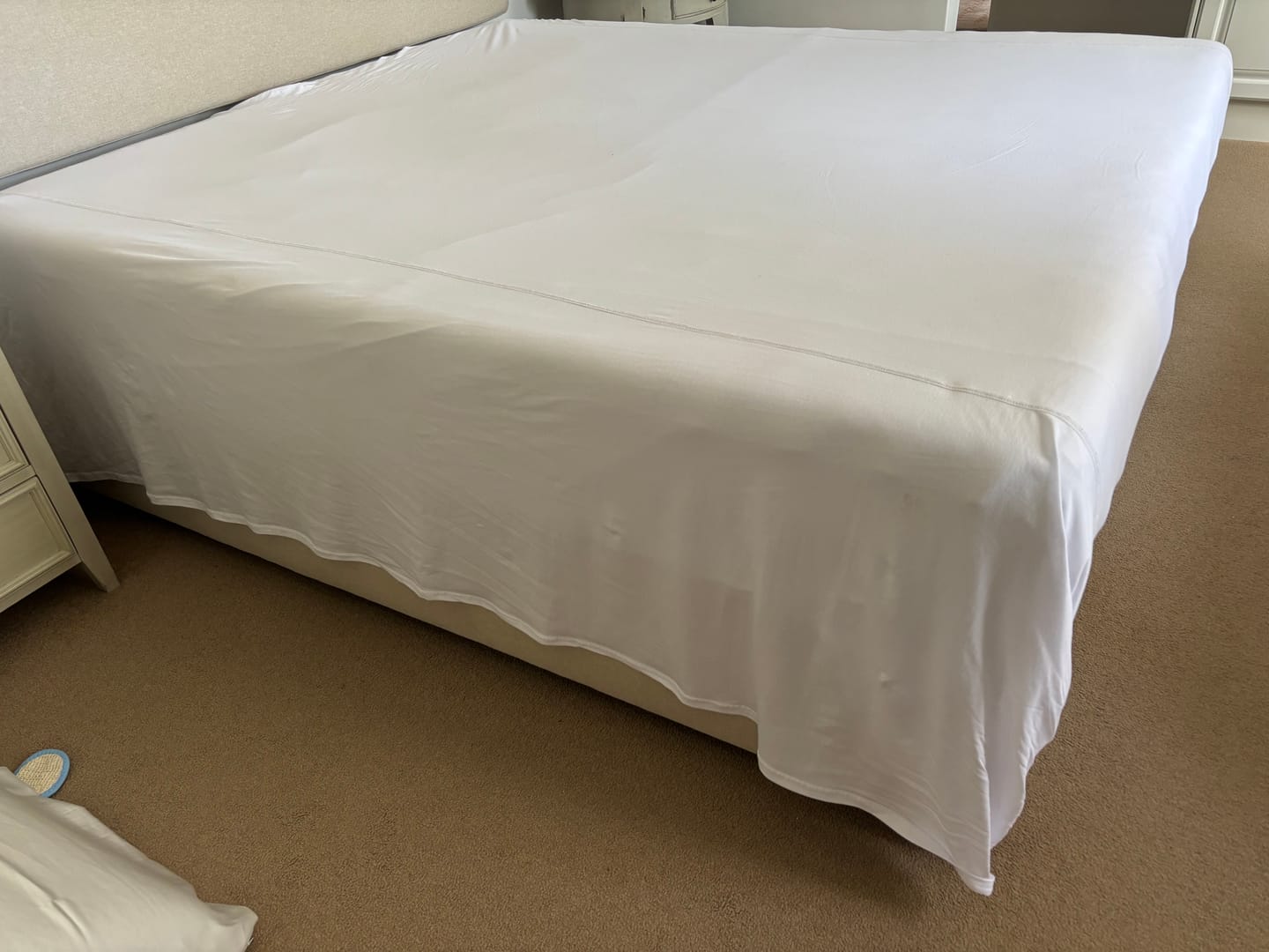 Customer photo review of Flat Sheets