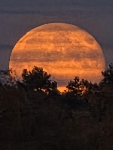 Customer photo review of PATCHOULI