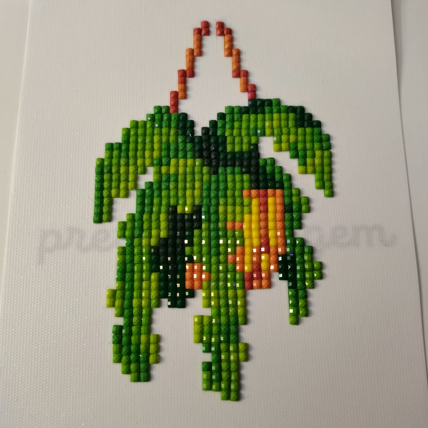 Customer photo review of Houseplants Set No. 1