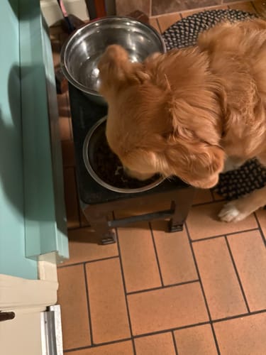 Customer photo review of DA-1™ Daily All-in-One Complete Care