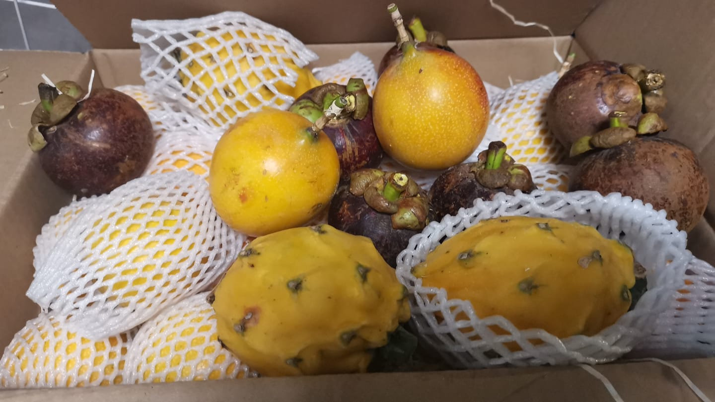 Customer photo review of Drachenfrucht gelb & Granadilla Aktionswoche %